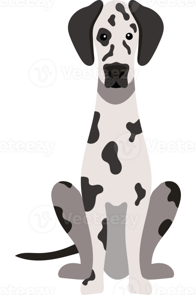 A dalmatian dog is sitting on the ground png
