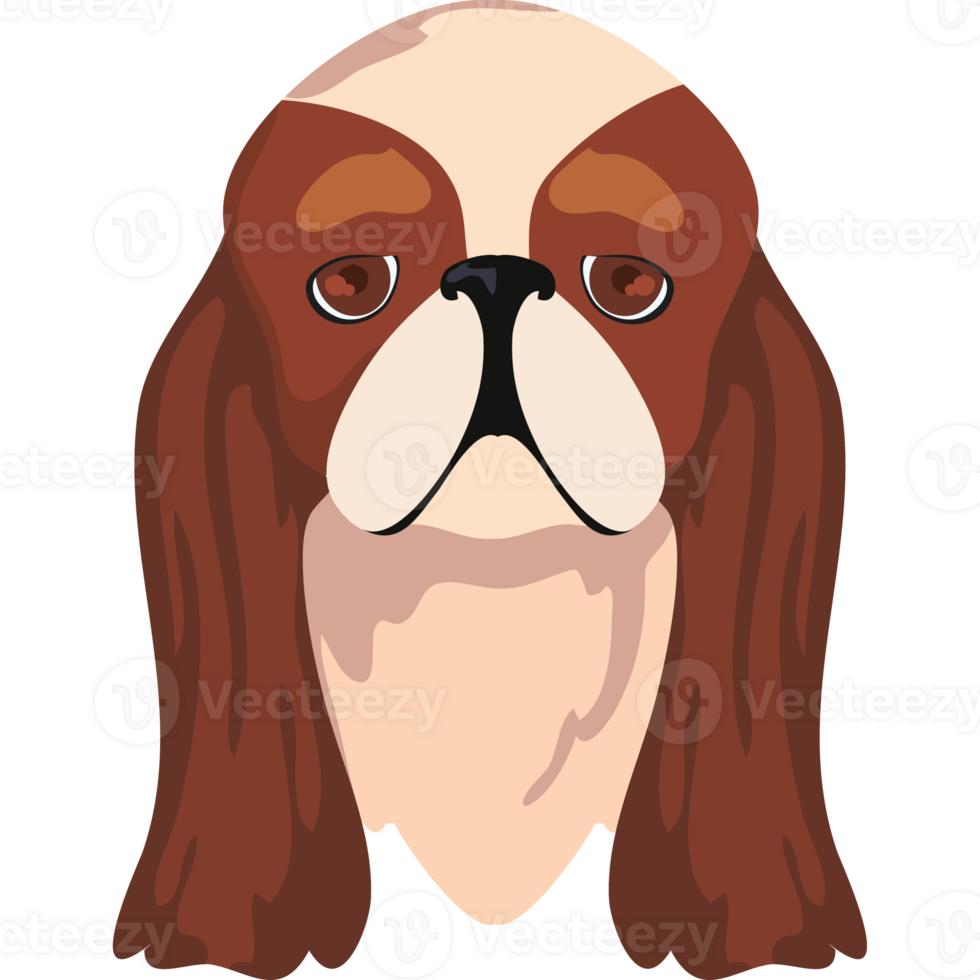 A cartoon dog with brown and white fur png