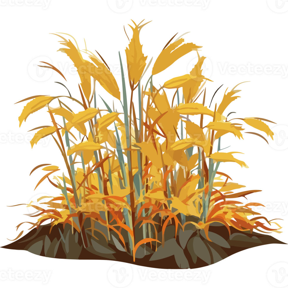 A field of yellow grass with leaves png