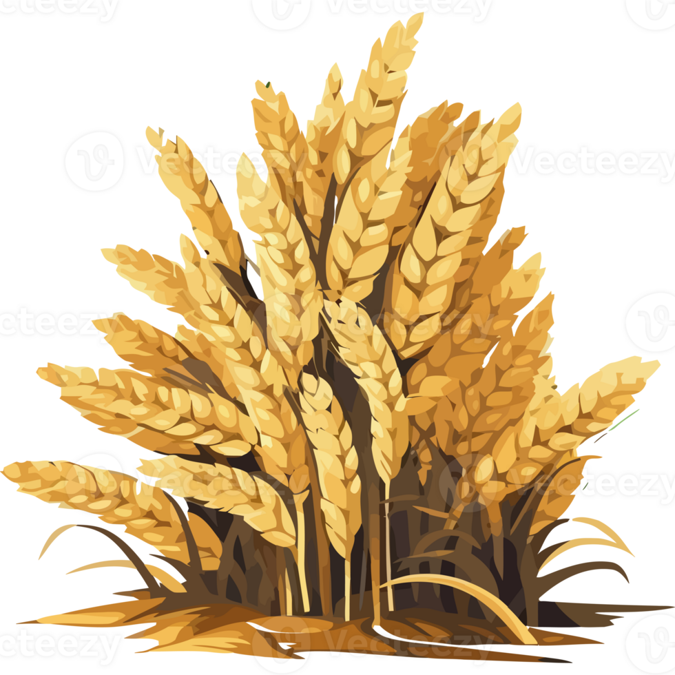An illustration of a field of wheat png