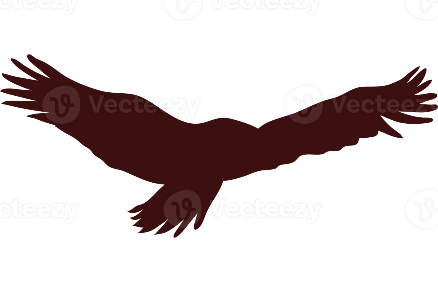 A bird flying in the air with its wings spread png
