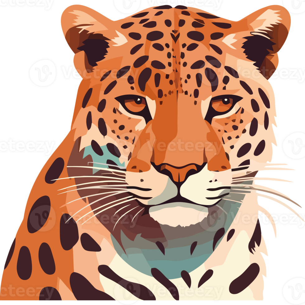 A leopard is shown in this illustration png