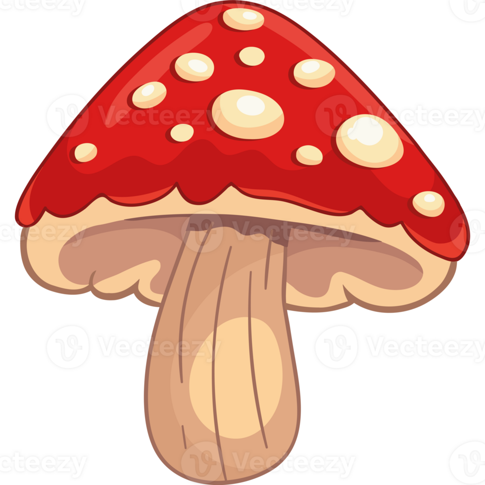 A cartoon mushroom with red and white spots png