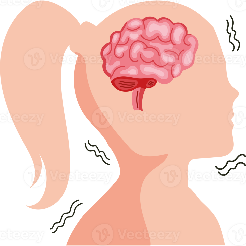 Illustration of a woman's head with a brain in the middle png