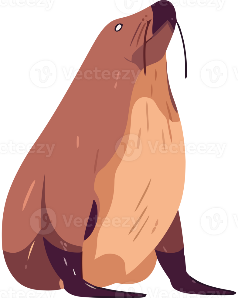 Sea lion clip art png