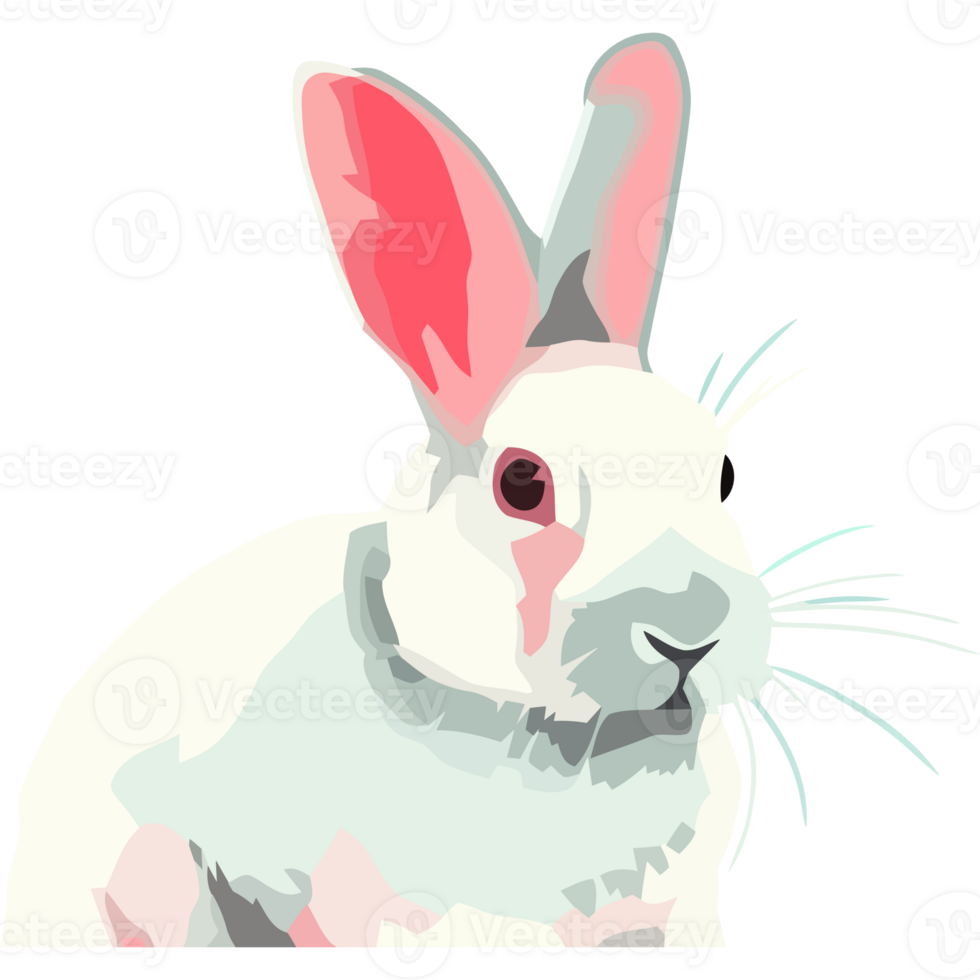 A white rabbit with pink ears and a pink nose png