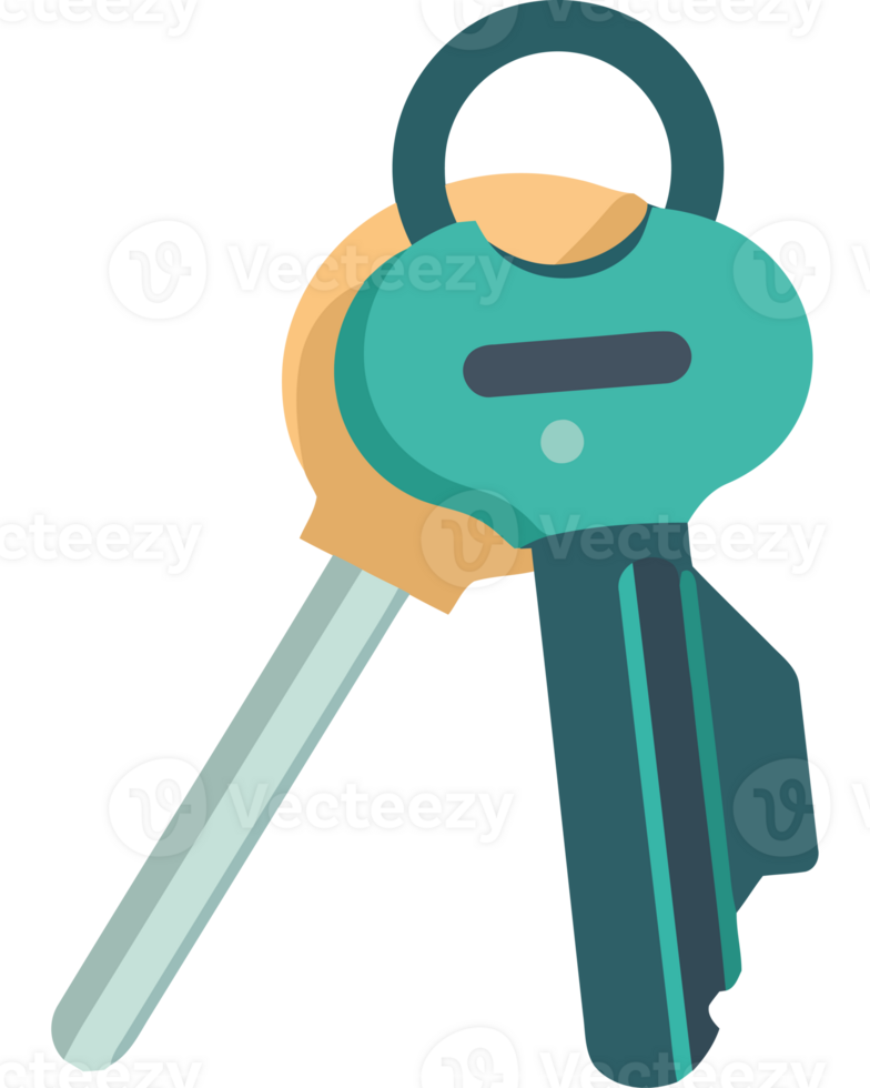 Key icon with two keys png