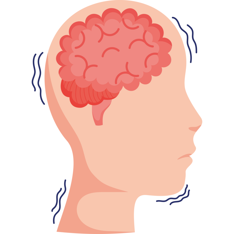 A person's head with a brain in the middle png