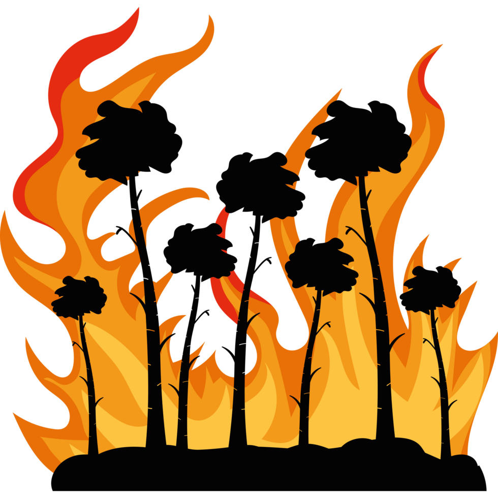A cartoon illustration of a fire with palm trees png
