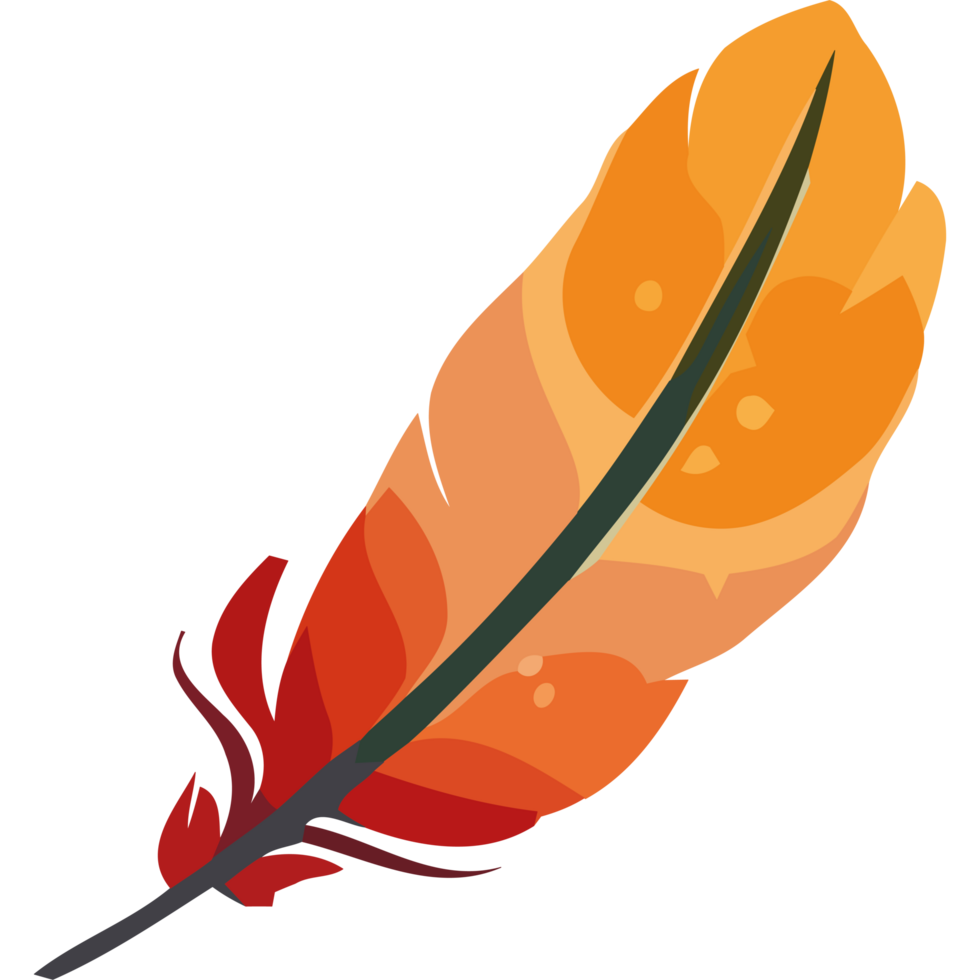 An orange and yellow feather on a black background png