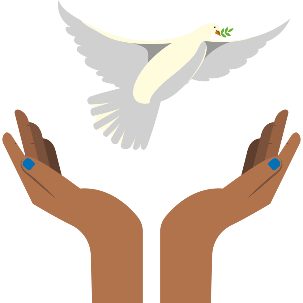 A dove flying over two hands png