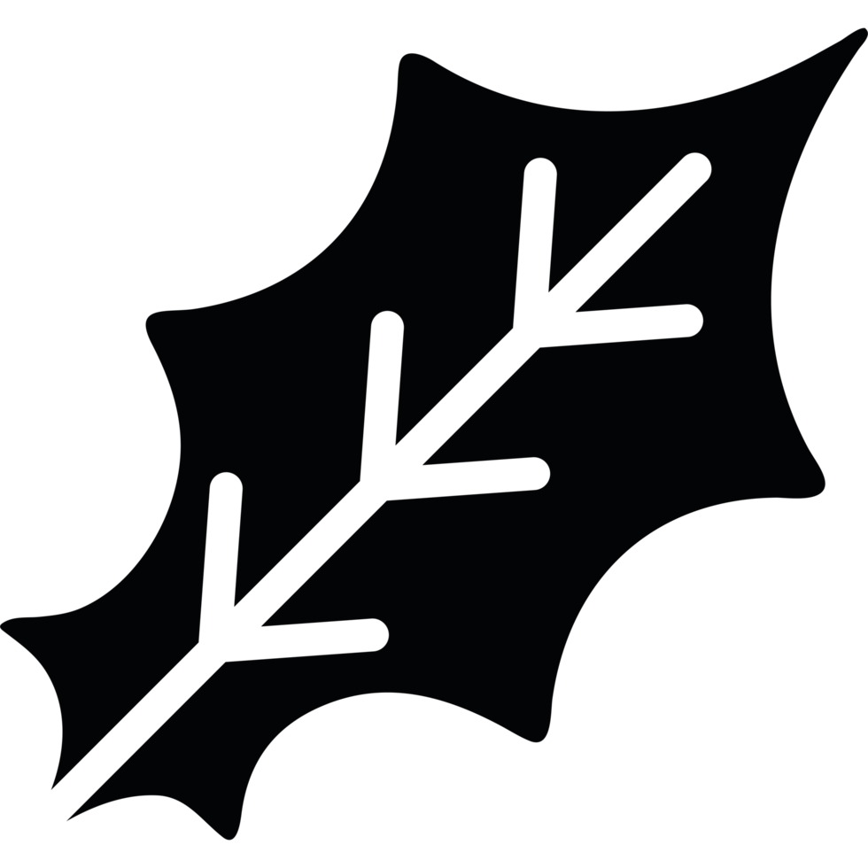 A black and white illustration of a leaf png