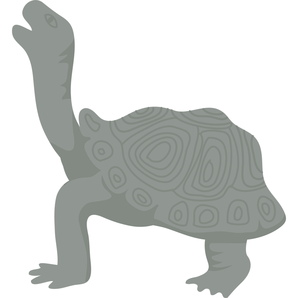 A turtle with its head turned to the side png