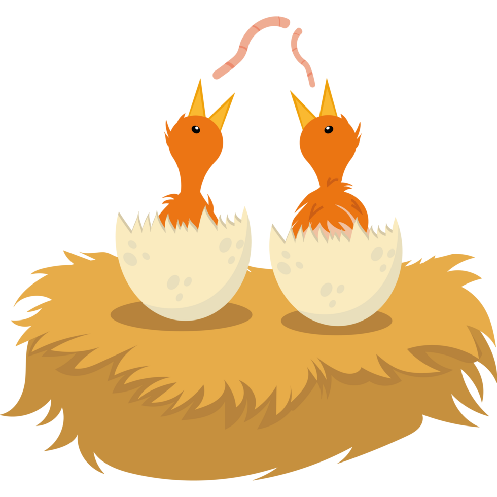 Two baby chicks in a nest with eggs png