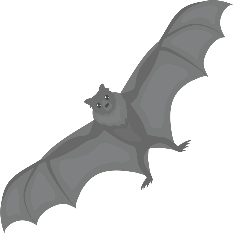 A cartoon bat flying in the air png