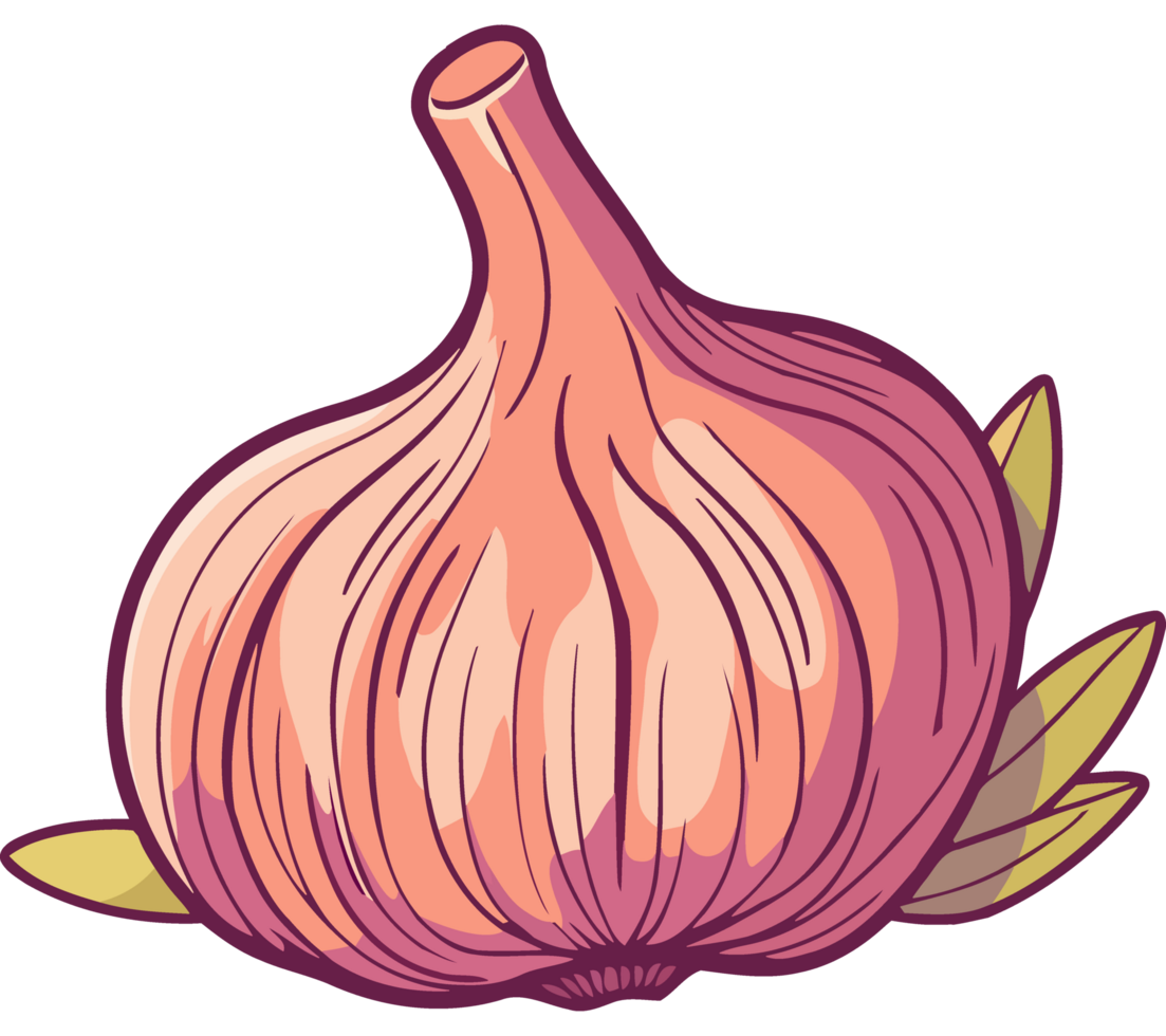 An illustration of a garlic bulb png