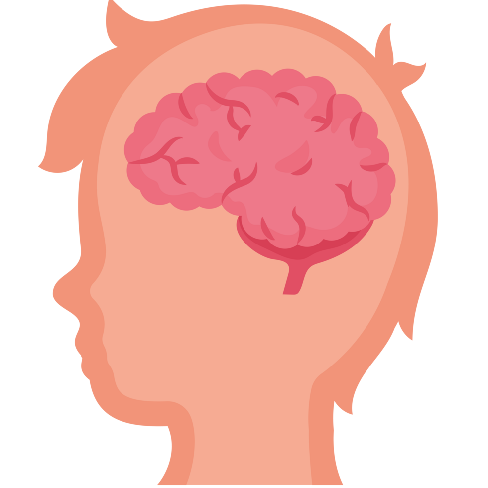 A person's head with a brain in it png