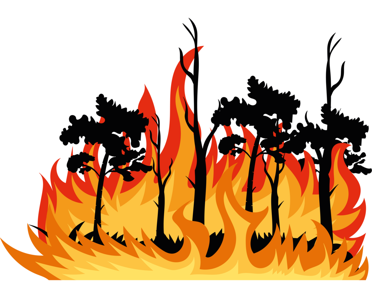 A fire with trees and grass on it png