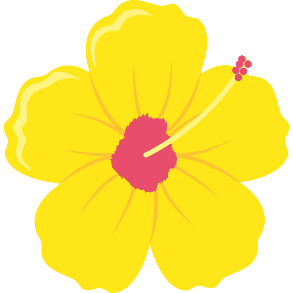 A yellow flower with a pink center png