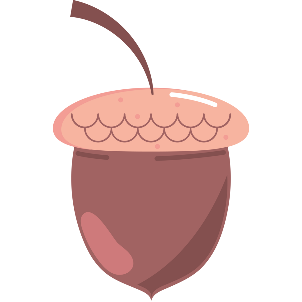 An acorn with a leaf on it png
