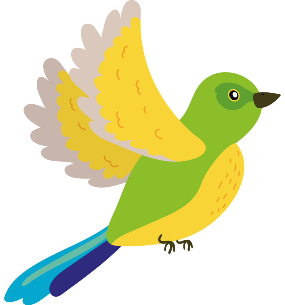 A cartoon bird with green and yellow feathers png