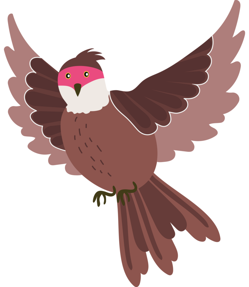 A cartoon bird with pink beak and wings png