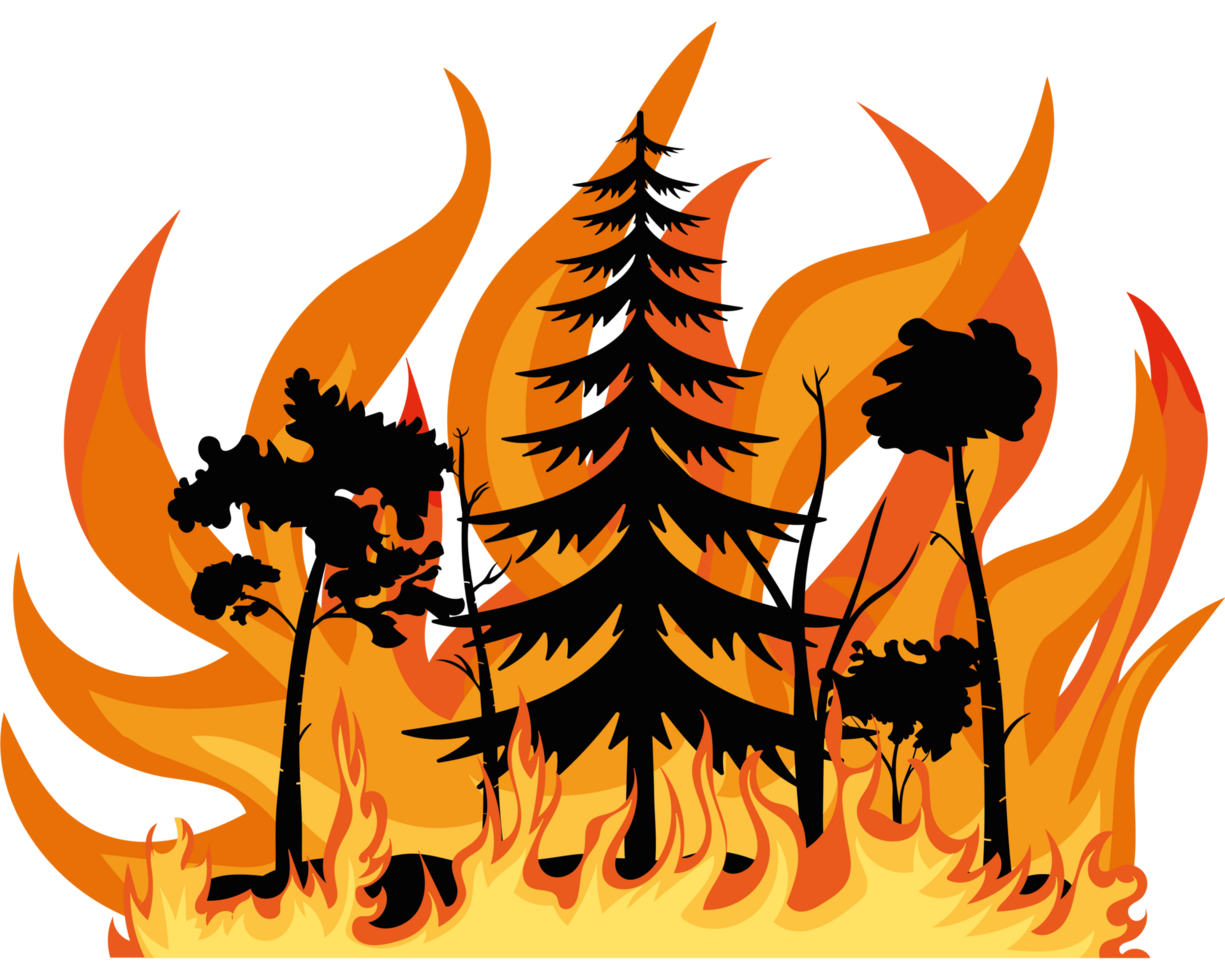 A forest fire with trees and flames png