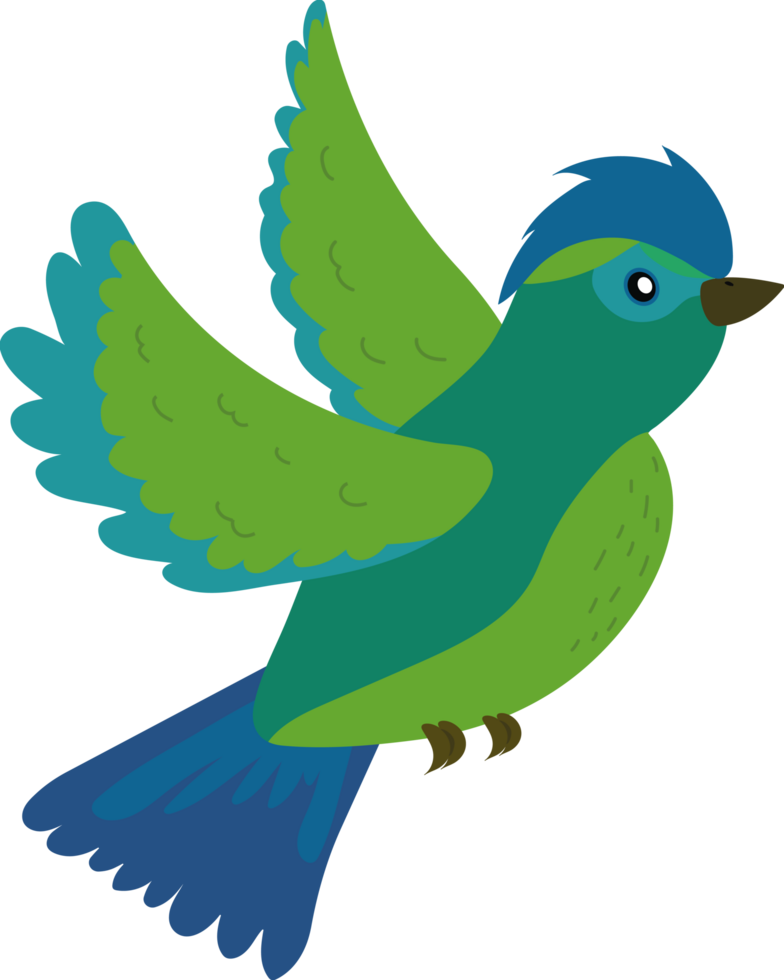 A cartoon bird with green and blue feathers png