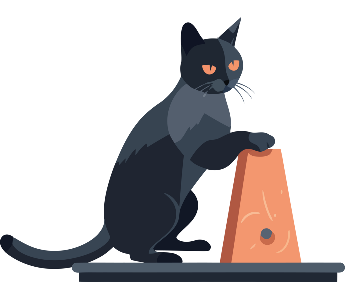 A black cat sitting on top of a cone png