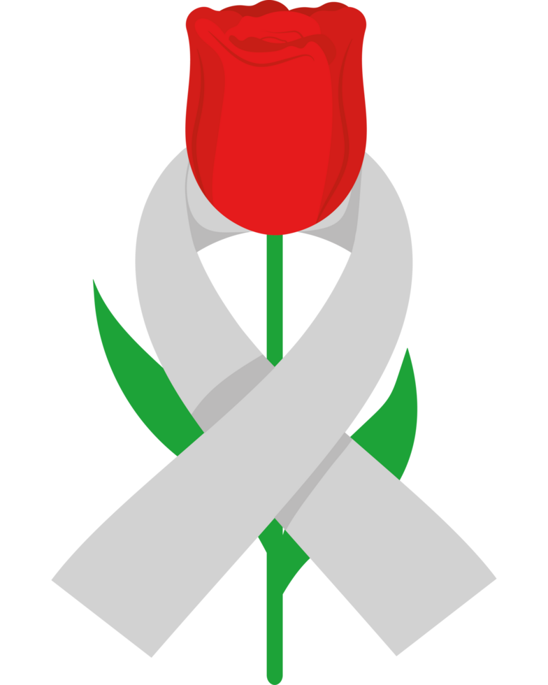 A red rose with a white ribbon and a ribbon png