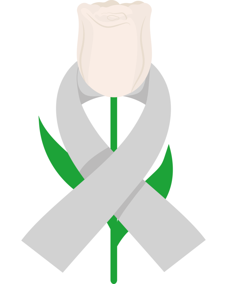 A white rose with a ribbon around it png