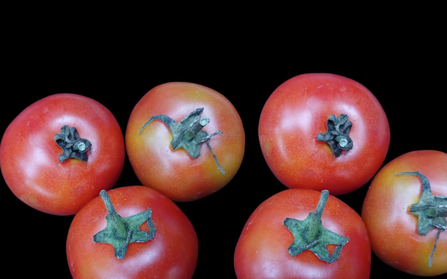 Set of red tomato vegetable fruits on black background good for food. photo