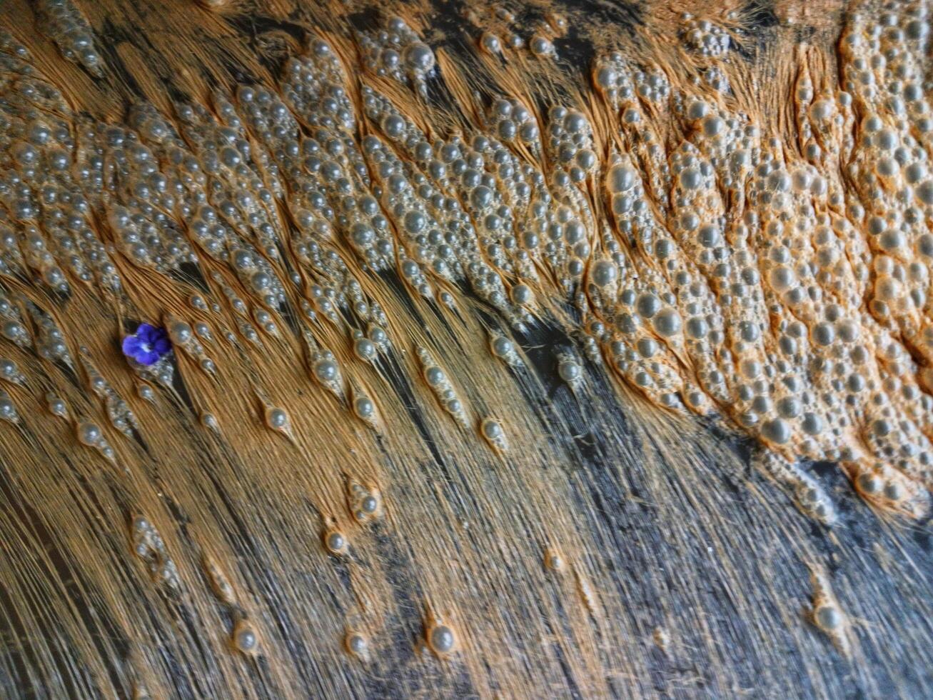 Background of water contaminated with bacteria. Bacteria in water photo