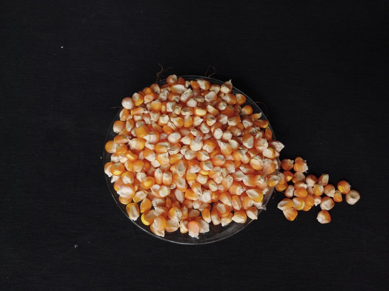 Pile of dry corn kernels. Stacked corn kernels isolated on black background. photo