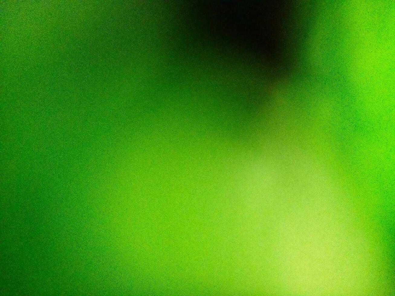 Abstract green background blur out of focus. photo