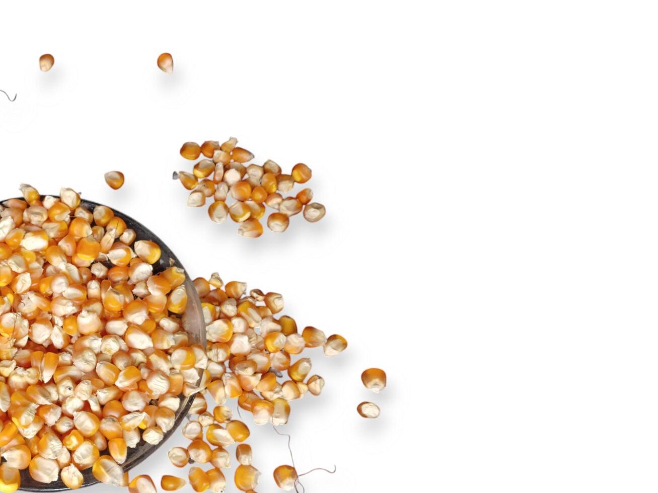Close up of corn kernels can be used as background. photo