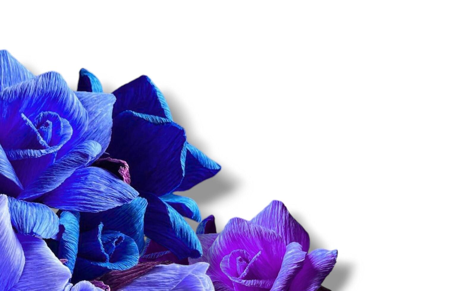 Paper rose flower background with empty space for greeting text. photo