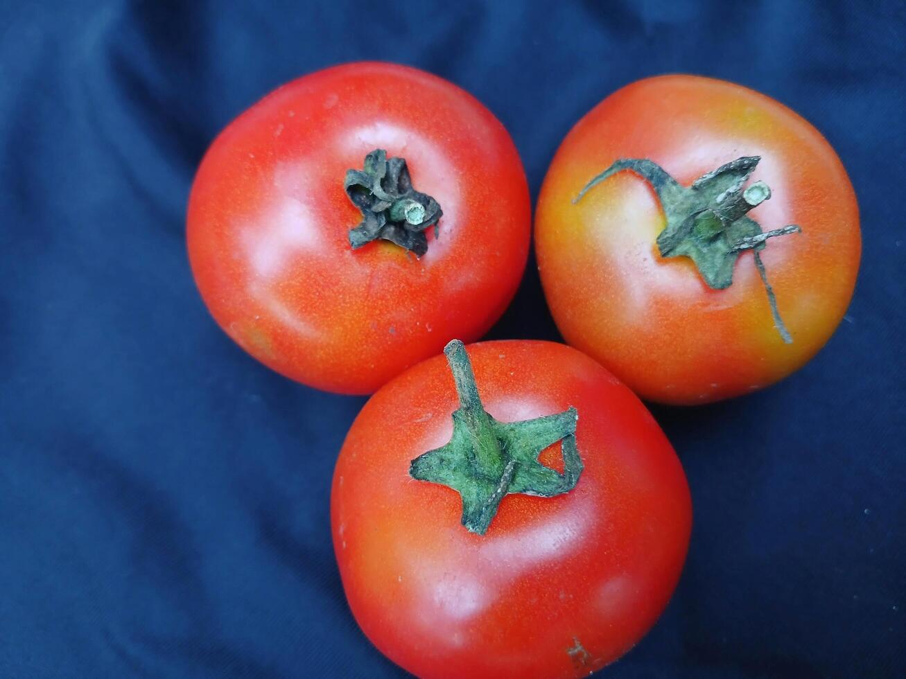 Tomato vegetable fruit on navy fabric background good for food. photo