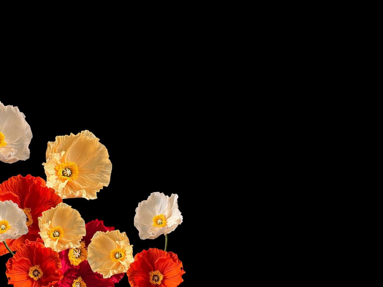 Paper rose flower background with empty space for greeting text. photo
