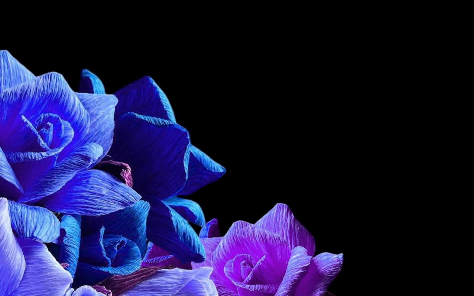 Paper rose flower background with empty space for greeting text. photo