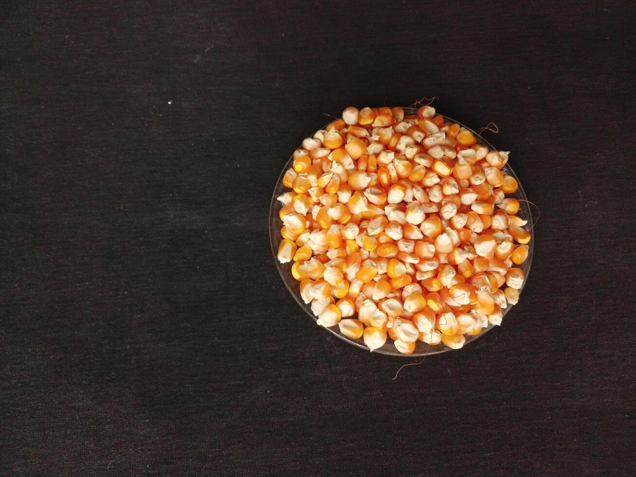 Close up of corn kernels can be used as background. photo