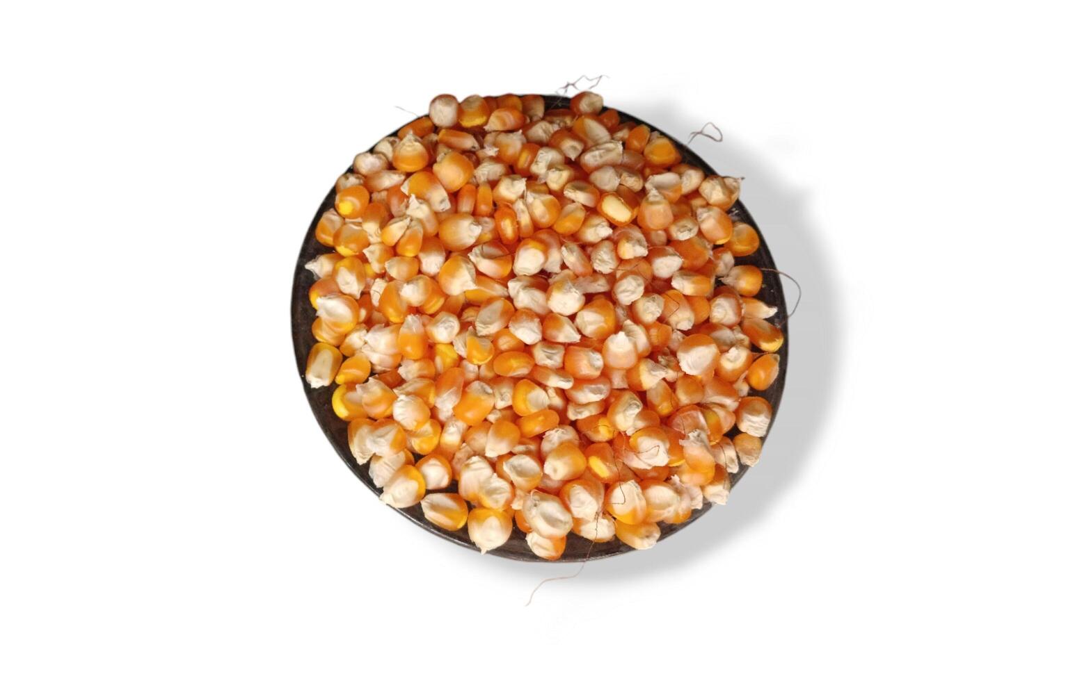 Close up of corn kernels can be used as background. photo
