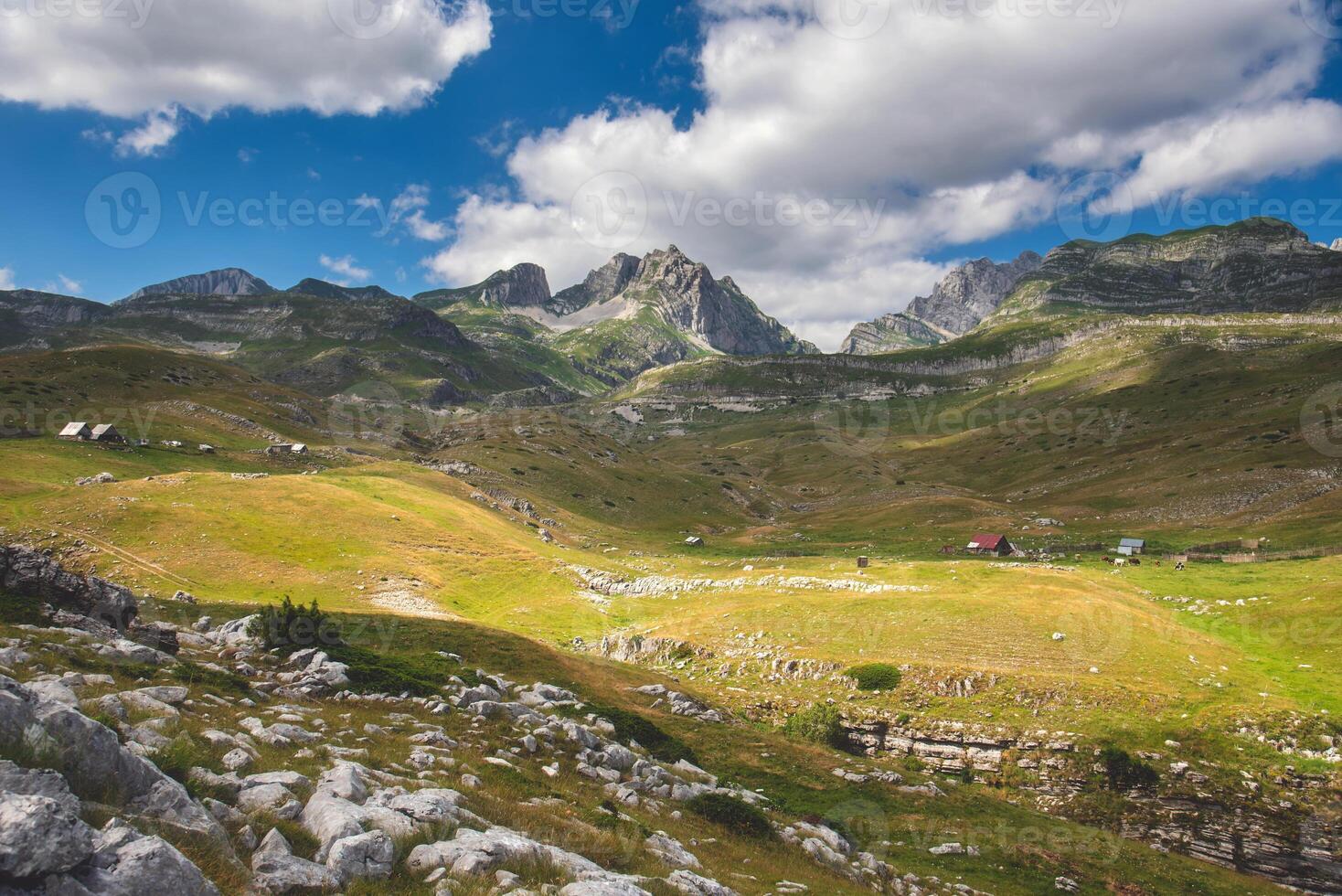 Summer Mountain Landscape with Farm Houses in Valley photo