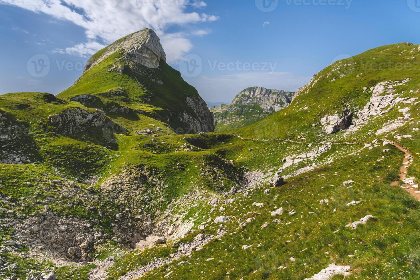 Marked Hiking Trail in Mountains on Summer photo