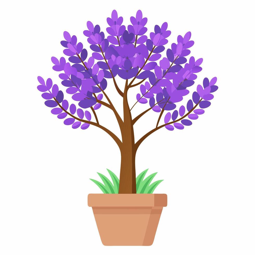 free lavender tree in pot vector