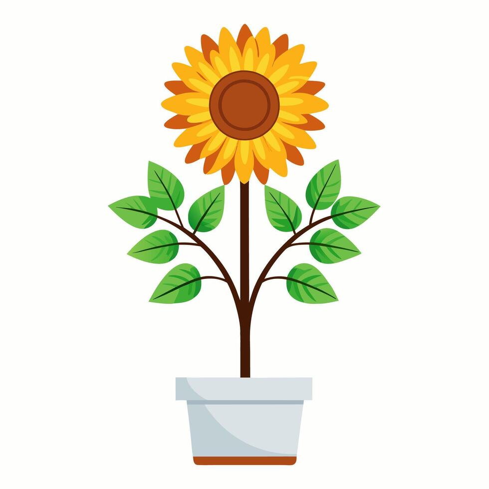 sunflower cartoon in a pot vector
