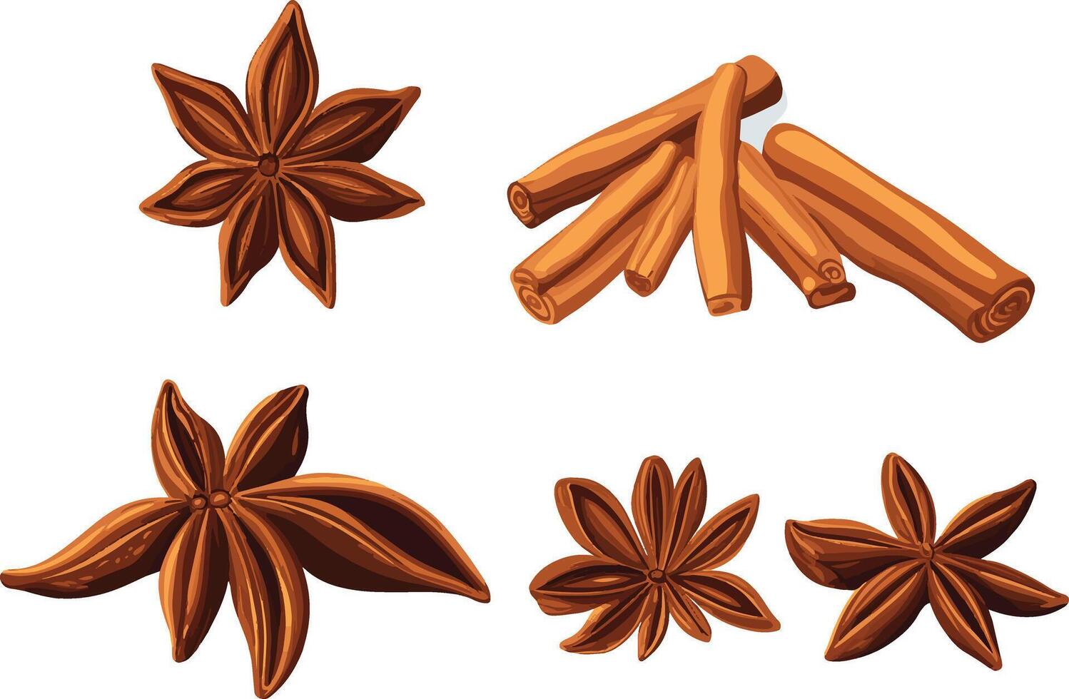 star anise and cinnamon sticks, showcasing spices vector