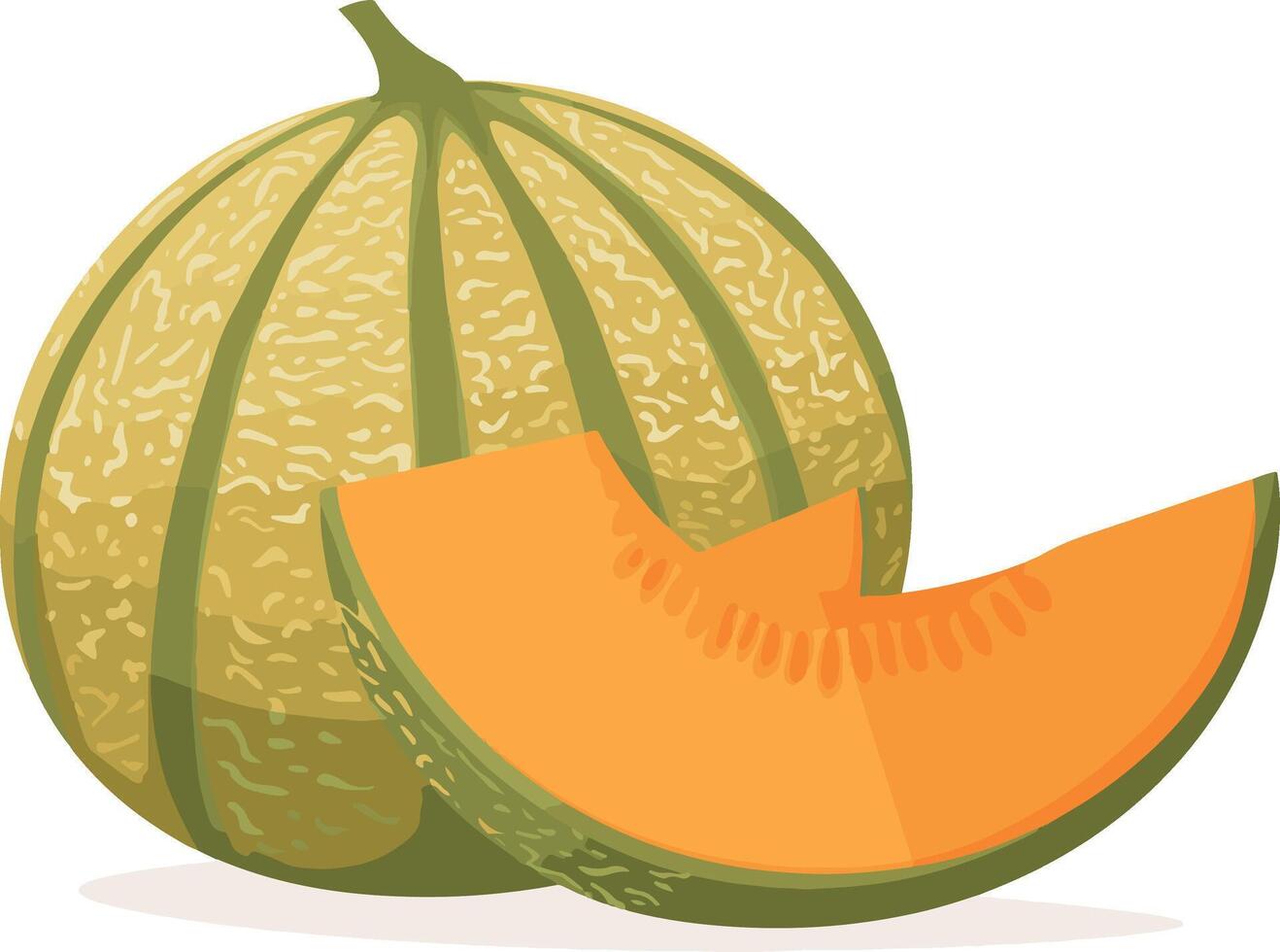 cantaloupe melon with a slice cut out vector
