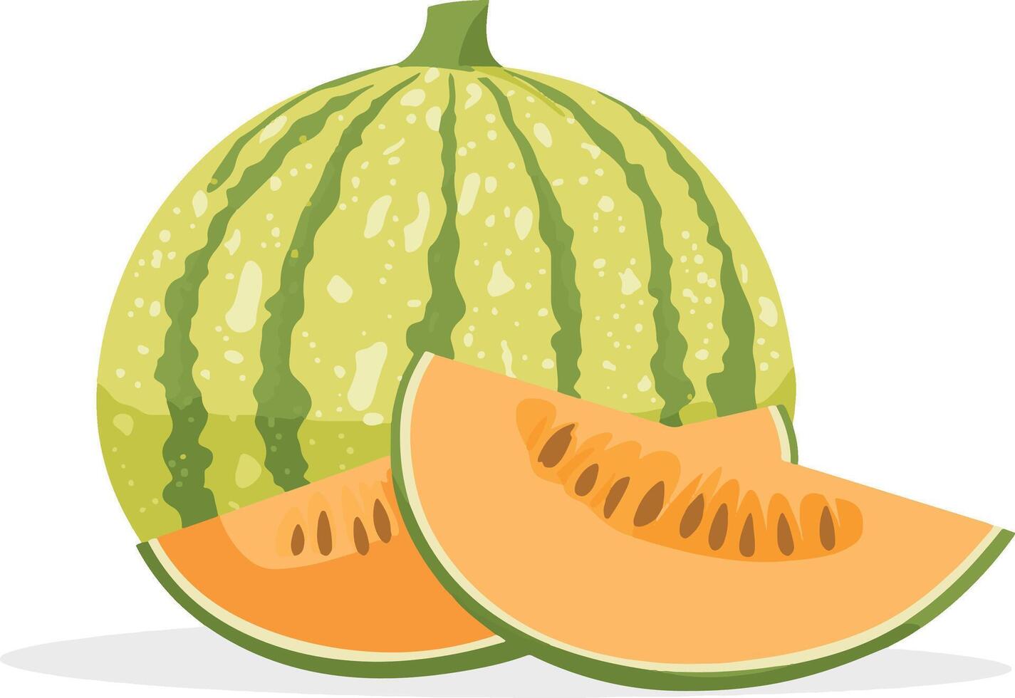 cantaloupe melon with two slices juicy orange. vector