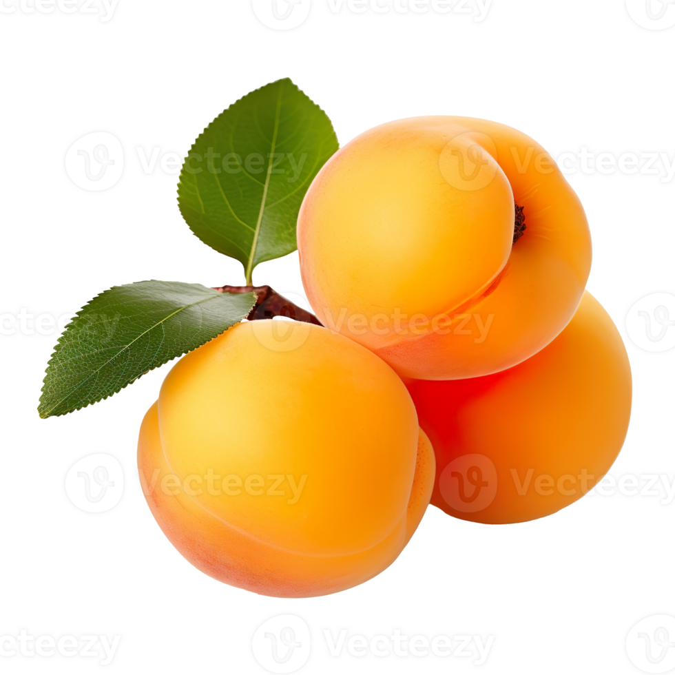 apricot isolated on transparent background png
